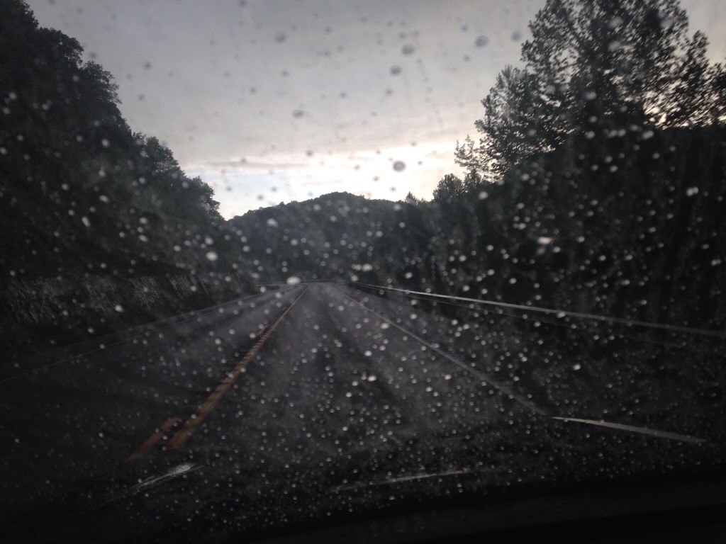This is one I took a while back but hadn't shared. I just liked that the focus was on the rain. | iPhone 5 - no filter